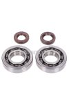 Naraku csapágyak FKM Heavy Duty C3 bal és jobb, olajtömítéssel együtt Peugeot 100 2T