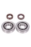 crankshaft bearing set Naraku SKF, FKM Premium C3 metal cage for Piaggio