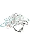 Naraku motortömítés-készlet Aprilia, Derbi, Malaguti, Piaggio, Vespa 200-250-es motorokhoz