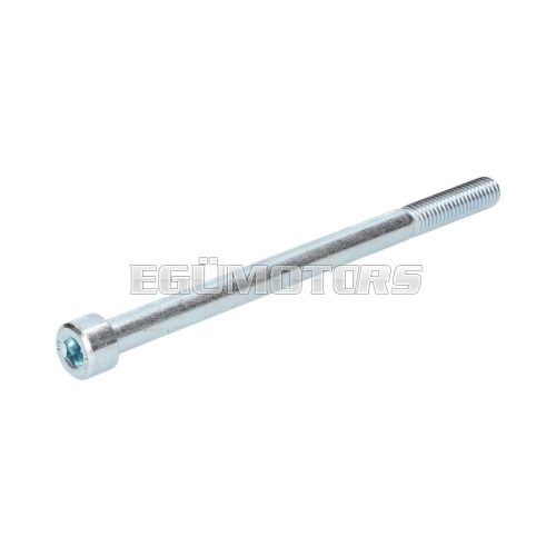 screw M8x120mm hexagon socket zinc plated