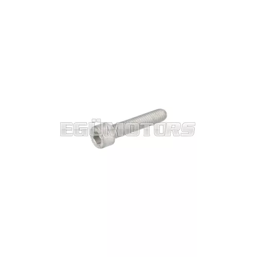 screw OEM M6x30 hexagon socket