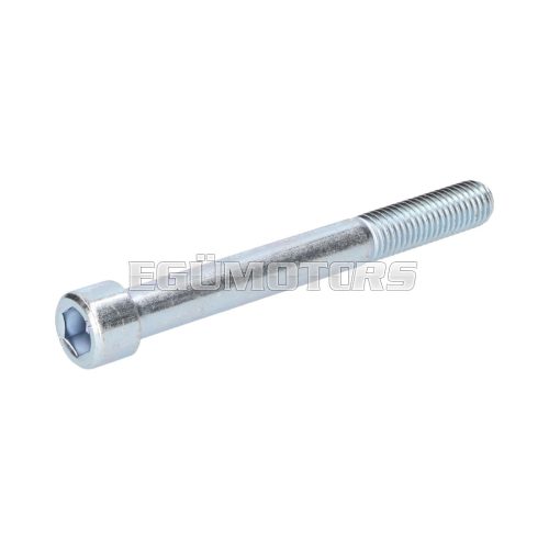 screw M12x110mm hexagon socket zinc plated