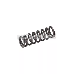 gear selector spring OEM for Minarelli AM5+AM6 all years