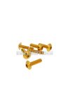 fairing screws hex socket head - anodized aluminum gold - set of 6 pcs - M5x20