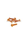 fairing screws hex socket head - anodized aluminum orange - set of 6 pcs - M5x20