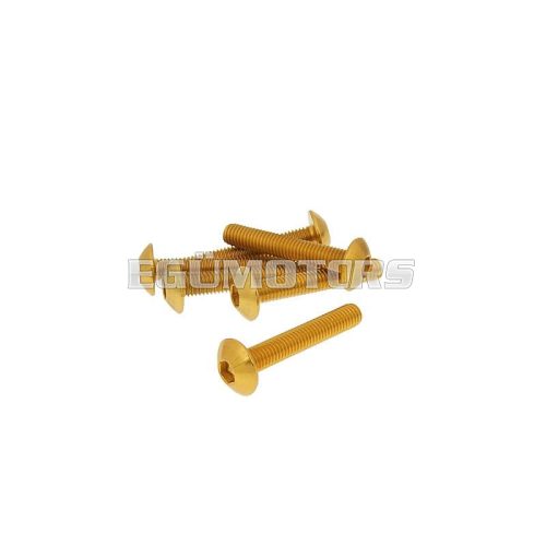 fairing screws hex socket head - anodized aluminum gold - set of 6 pcs - M5x30