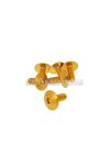 fairing screws hex socket head - anodized aluminum gold - set of 6 pcs - M6x15