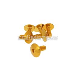   fairing screws hex socket head - anodized aluminum gold - set of 6 pcs - M6x15