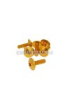 fairing screws hex socket head - anodized aluminum gold - set of 6 pcs - M6x20