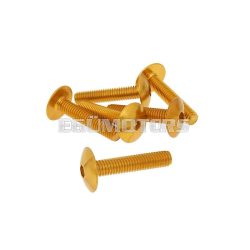   Vparts Idomcsavar hatszögletű imbusz fejjel - anodizált alumínium arany - 6 db - M6x30