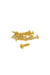 fairing screws anodized aluminum gold - set of 12 pcs - M5x20