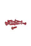 fairing screws anodized aluminum red - set of 12 pcs - M6x20