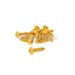   fairing screws anodized aluminum gold - set of 12 pcs - M6x20