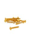 fairing screws anodized aluminum gold - set of 12 pcs - M6x30