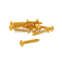   fairing screws anodized aluminum gold - set of 12 pcs - M6x30