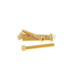   Vparts Hatszögletű imbuszcsavar szett - anodizált alumínium arany - 6 db - M5x45 - stílusos