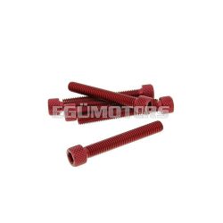   hexagon socket screw set - anodized aluminum red - 6 pcs - M6x45 - styling