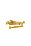 Vparts Hatszögletű imbuszcsavar szett - anodizált alumínium arany - 6 db - M6x45 - stílusos