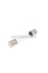 micro glass fuse 30x6mm 10A