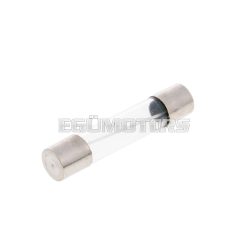 micro glass fuse 30x6mm 10A