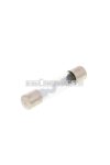 micro glass fuse 30x6mm 25A