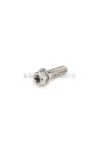 Titanium Bolt M6x20mm Stage6 R/T