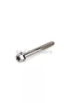 Titanium Bolt M6x55mm Stage6 R/T