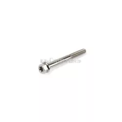 Titanium Bolt M6x60mm Stage6 R/T
