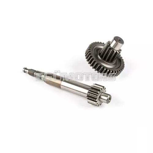 Stage6 végáttétel Primer, 15/38, Piaggio Zip, ellencsapággyal