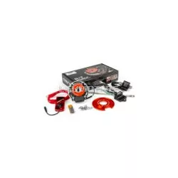 Programmable ignition Piaggio Zip Stage6 R/T MK2