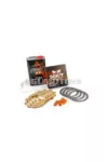 Clutch Kit 5 discs Stage6 R/T MK2 with gear oil AM6