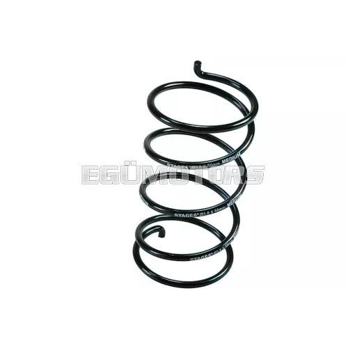 Torque spring Stage6, Piagggio LEADER / QUASAR 125-300cc 4T