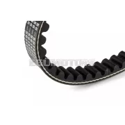 Stage6 Variátor szij, Piaggio rövid, új