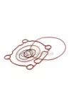 Cylinder O-rings Stage6 R/T 70cc / 95cc Big Bore
