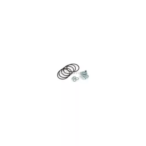 O-Rings + Mounting Kit exhaust flange Stage6 R/T 100cc FLR