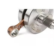 Crankshaft Stage6 HPC PGO Big Max / T-Rex