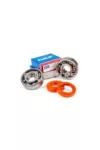 Crankshaft Bearing Kit Stage6 R/T C3 metal cage 17 / 20mm AM6