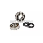 Crankshaft Bearing Set Stage6 C3 polymer cage Peugeot 103