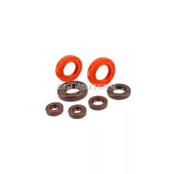 Oil Seal Kit engine Stage6 Derbi Euro 3/4