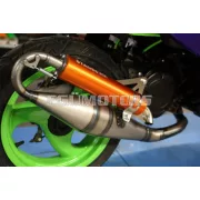 Exhaust Stage6 Pro Replica MK2 Orange Piaggio