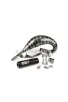 Exhaust Stage6 R/T 70 - 80 Beta RR before 2021 black