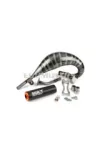 Exhaust Stage6 R/T 70 - 80 Beta RR before 2021 orange / black