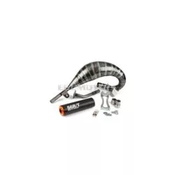   Exhaust Stage6 R/T 70 - 80 Beta RR before 2021 orange / black