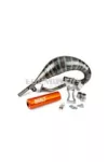 Exhaust Stage6 R/T 70 - 80 Beta RR before 2021 orange