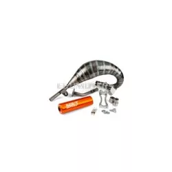 Exhaust Stage6 R/T 70 - 80 Beta RR before 2021 orange