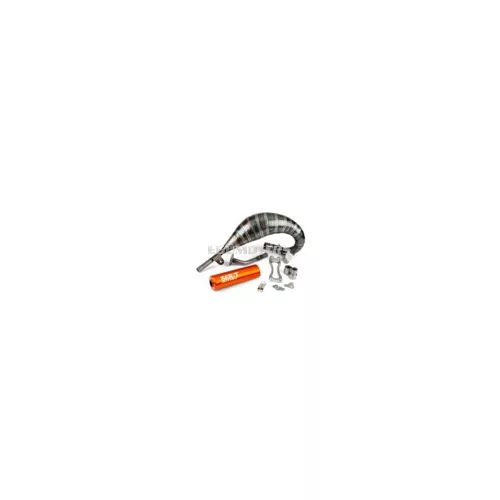 Exhaust Stage6 R/T 70 - 80 Beta RR before 2021 orange