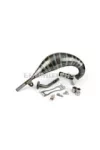 Exhaust Body Stage6 R/T 70 - 80 Beta RR before 2021