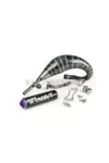 Exhaust Stage6 R/T 70 - 80 Beta RR before 2021 Black / Purple