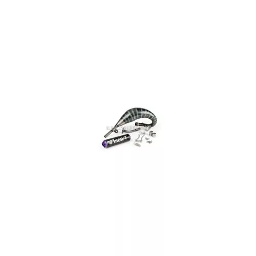 Exhaust Stage6 R/T 70 - 80 Beta RR before 2021 Black / Purple
