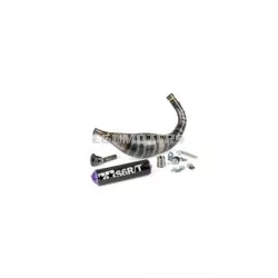 Exhaust Stage6 R/T 80 - 90 AM6 Black / Purple